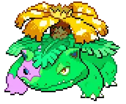 Dank Moon