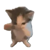 Phantom Boomer