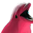 Cursed Moon