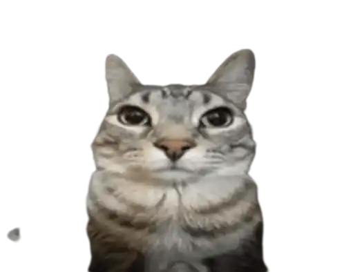 Feral Wojak