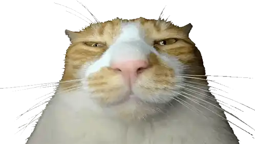 Frosty Bonk