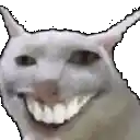 Smug Bonk
