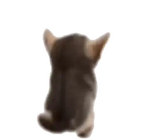 Floof Tail